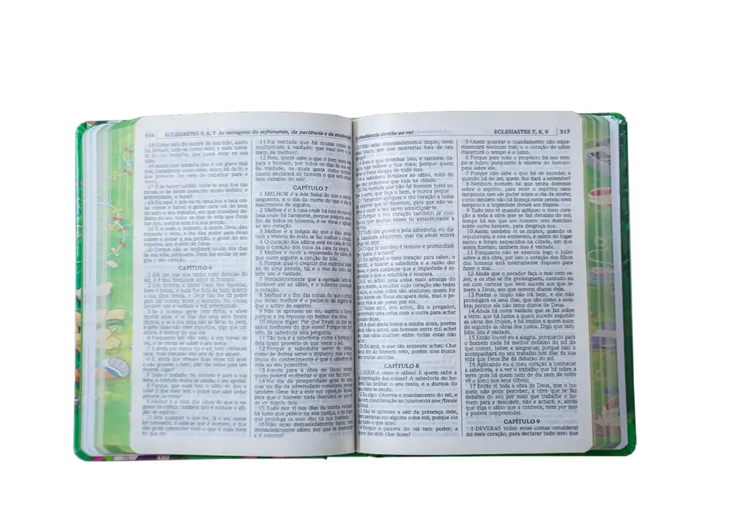 capa-dura-turminha_da_f_04.webp